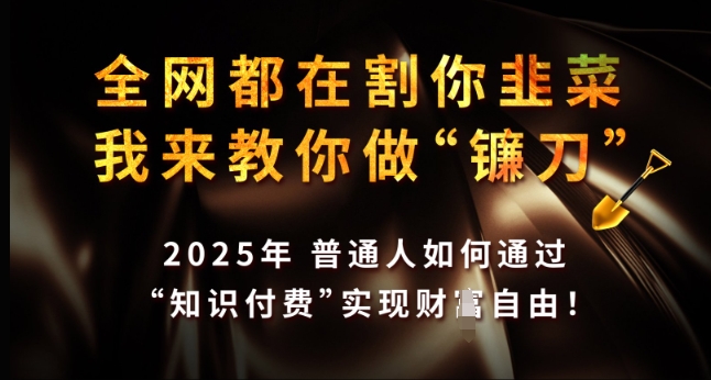 全网都在割你韭菜，我来教你做镰刀，2025年普通人如何通过 知识付费 实现财F自由【揭秘】-星火轻创