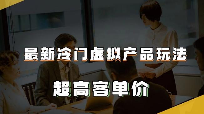 最新冷门虚拟产品玩法，超高客单价，月入2-3万＋【揭秘】-星火轻创