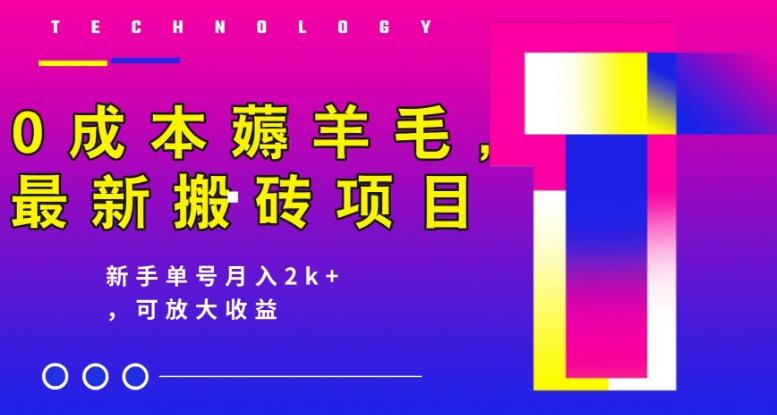 0成本薅羊毛，最新搬砖项目，新手单号月入2k+，可放大操作-星火轻创