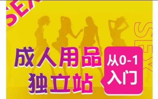 成人用品独立站从0-1入门，成品独立站运营全流程教学，七大好卖成品独立站推荐-星火轻创