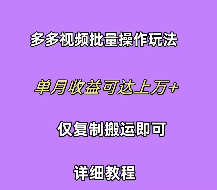 (10029期)拼多多视频带货快速过爆款选品教程 每天轻轻松松赚取三位数佣金 小白必…-星火轻创