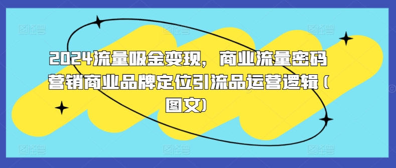 2024流量吸金变现，商业流量密码营销商业品牌定位引流品运营逻辑(图文)-星火轻创