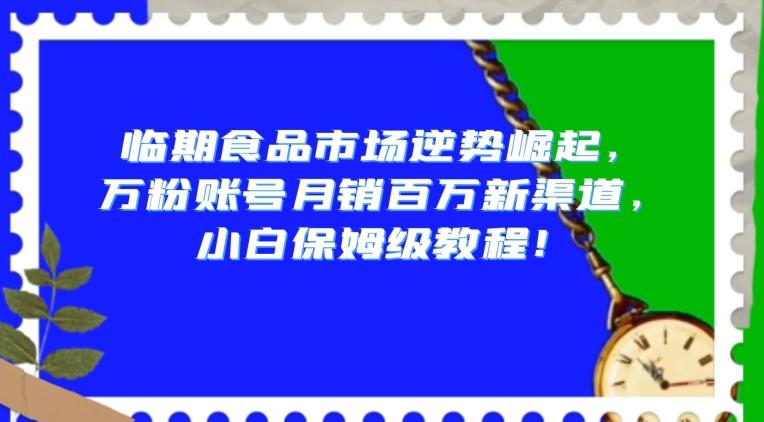 临期食品市场逆势崛起，万粉账号月销百万新渠道，小白保姆级教程【揭秘】-星火轻创