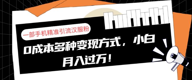 一部手机精准引流汉服粉，0成本多种变现方式，小白月入过万！-星火轻创