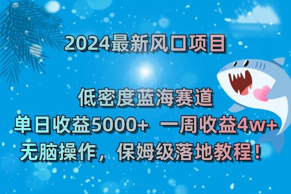 (8545期)2024最新风口项目 低密度蓝海赛道，日收益5000+周收益4w+ 无脑操作，保…-星火轻创