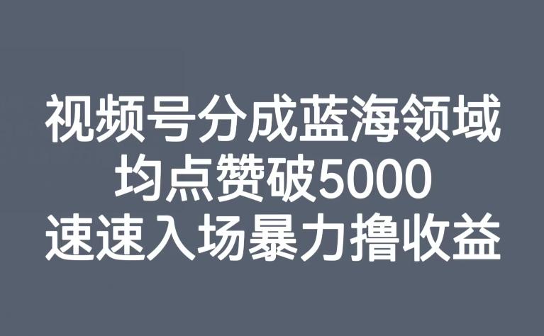 视频号分成蓝海领域，均点赞破5000，速速入场暴力撸收益-星火轻创