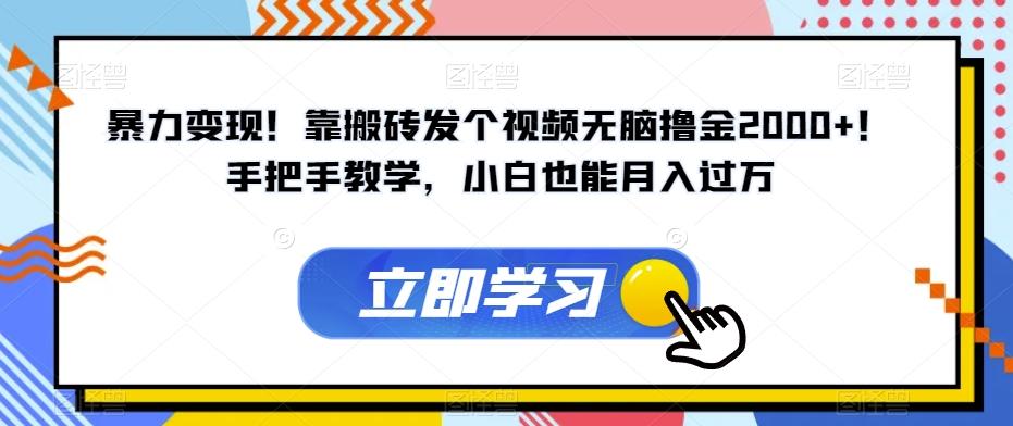 暴力变现！靠搬砖发个视频无脑撸金2000+！手把手教学，小白也能月入过万【揭秘】-星火轻创