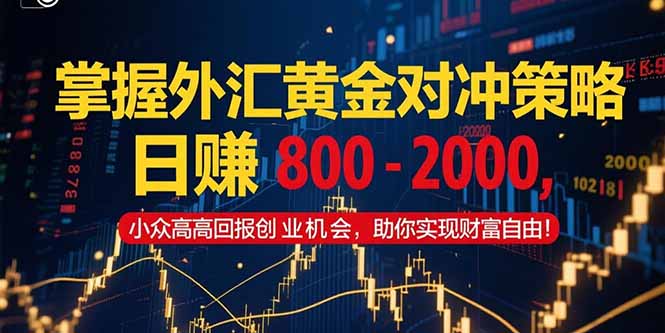 掌握外汇黄金对冲策略，日赚 800 - 2000，小众高回报创业机会，助你实...-星火轻创