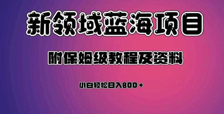 虚拟资源蓝海领域新项目，轻松日入800＋，附保姆级教程及资料-星火轻创