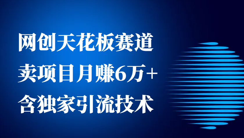 网创天花板赛道，卖项目月赚6万+，含独家引流技术(共26节课)-星火轻创