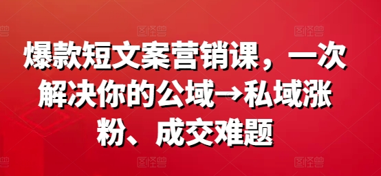爆款短文案营销课，一次解决你的公域→私域涨粉、成交难题-星火轻创