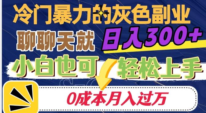 冷门暴利的副业项目，聊聊天就能日入300+，0成本月入过万【揭秘】-星火轻创