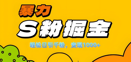 单人单机日引千粉，变现1k+，S粉流量掘金计划攻略【揭秘】-星火轻创