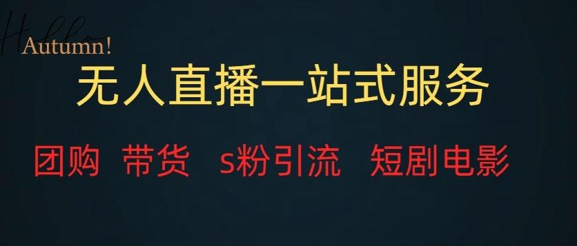 无人直播一站式服务（教程以及变现方式）-星火轻创