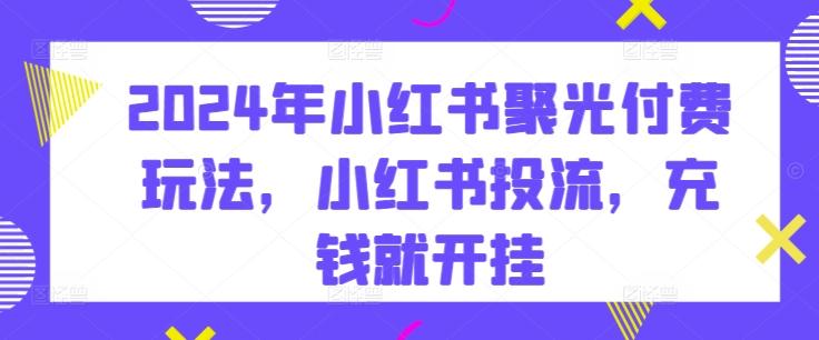2024年小红书聚光付费玩法，小红书投流，充钱就开挂-星火轻创