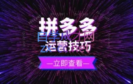 力辛电商·拼多多强付费店群玩法-星火轻创