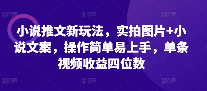 小说推文新玩法，实拍图片+小说文案，操作简单易上手，单条视频收益四位数-星火轻创