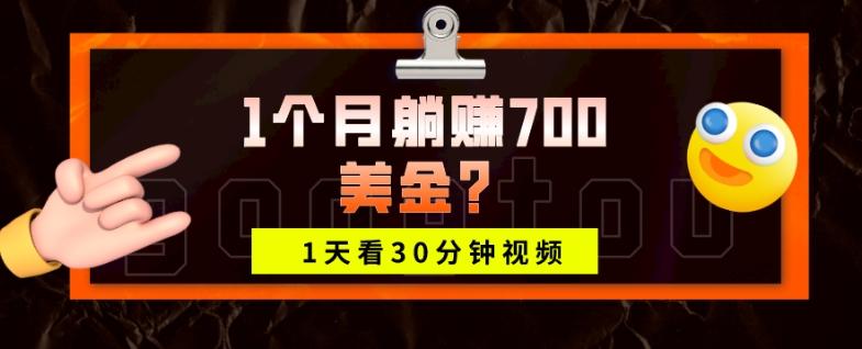 1天看30分钟视频，1个月躺赚700美金？-星火轻创