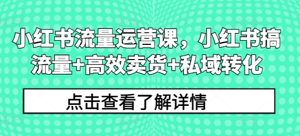 小红书流量运营课，小红书搞流量+高效卖货+私域转化-星火轻创