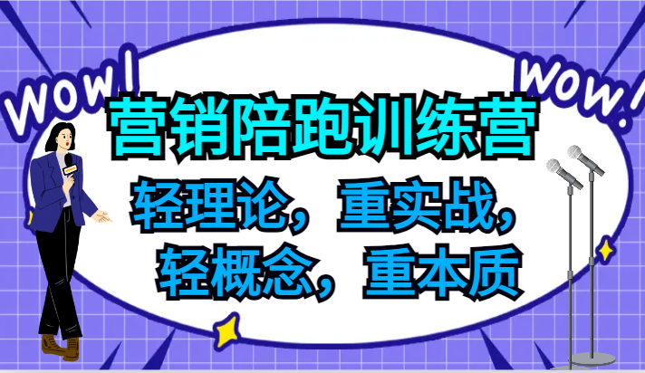 营销陪跑训练营，轻理论，重实战，轻概念，重本质，适合中小企业和初创企业的老板-星火轻创