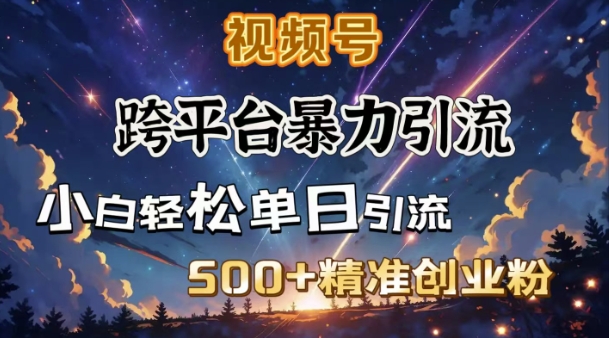 跨平台暴力引流，私域完美闭环，日引500+精准创业粉-星火轻创
