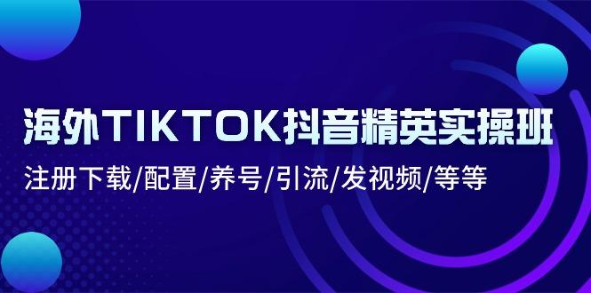 海外TIKTOK抖音精英实操班：注册下载/配置/养号/引流/发视频/等等-星火轻创