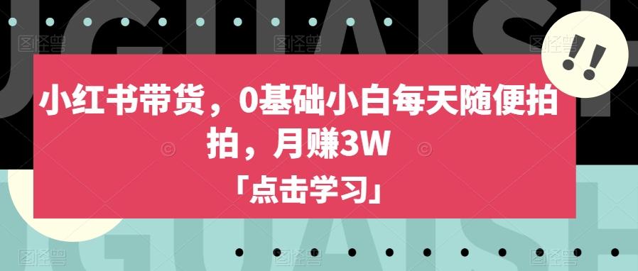 小红书带货，0基础小白每天随便拍拍，月赚3W【揭秘】-星火轻创