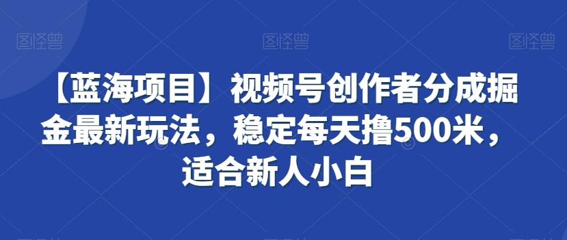 【蓝海项目】视频号创作者分成掘金最新玩法，稳定每天撸500米，适合新人小白【揭秘】-星火轻创