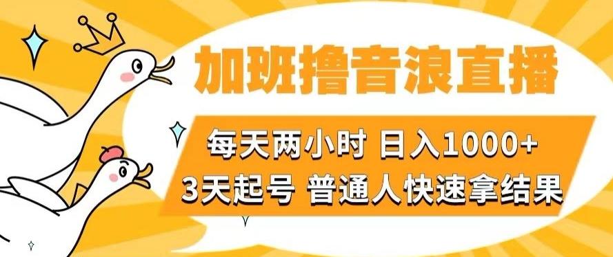 加班撸音浪直播，每天两小时，日入1000+，直播话术才3句，3天起号，普通人快速拿结果【揭秘】-星火轻创