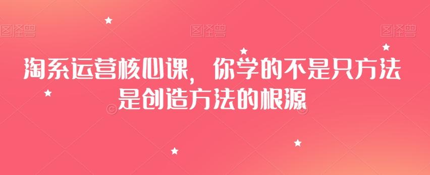 淘系运营核心课，你学的不是只方法是创造方法的根源-星火轻创