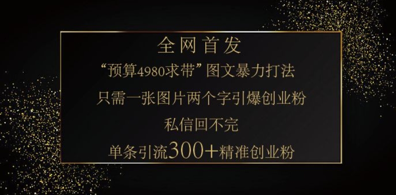 小红书神奇图片引流法，只需一张图，就能单条笔记凭借此方法，轻松引流 300 + 精准创业粉-星火轻创