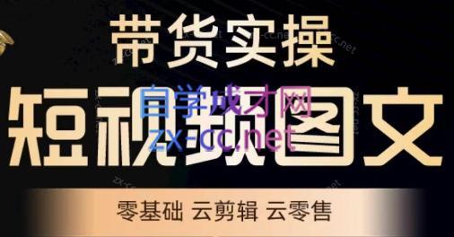 鑫哥·2024零基础短视频带货实操营-星火轻创