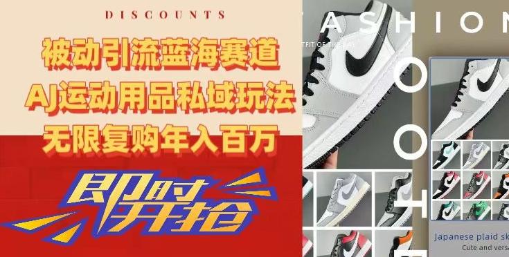 被动引流蓝海赛道，AJ运动用品私域玩法，无限复购年入百万【揭秘】-星火轻创