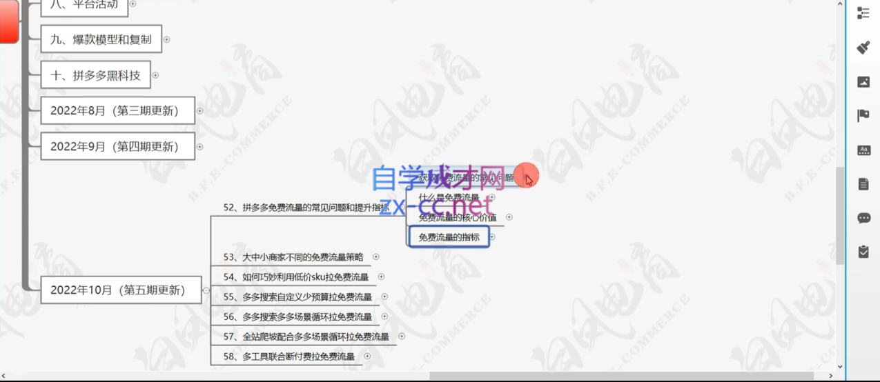 白凤电商·拼多多日销千单训练营(更新3月)-星火轻创