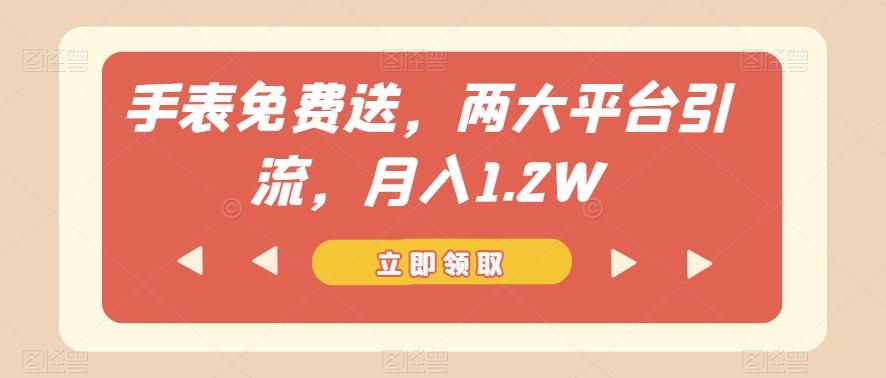 手表免费送，两大平台引流，月入1.2W【揭秘】-星火轻创