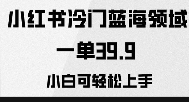 小红书冷门蓝海领域，一单39.9，小白可轻松上手-星火轻创