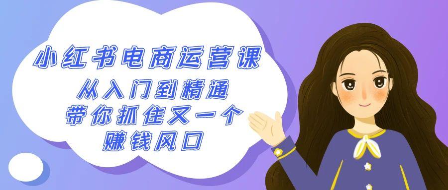 2024小红书电商运营课，从入门到精通，带你抓住又一个赚钱风口(50节课)-星火轻创
