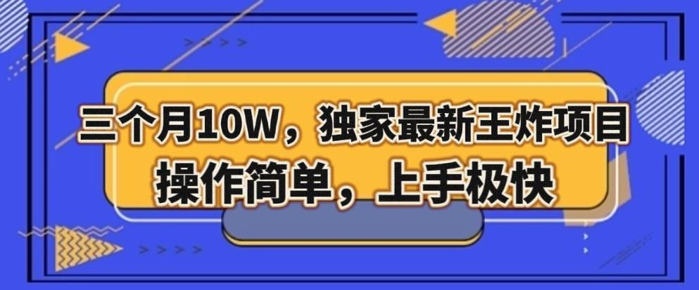 三个月10W，独家最新王炸项目！操作简单，上手极快【揭秘】-星火轻创