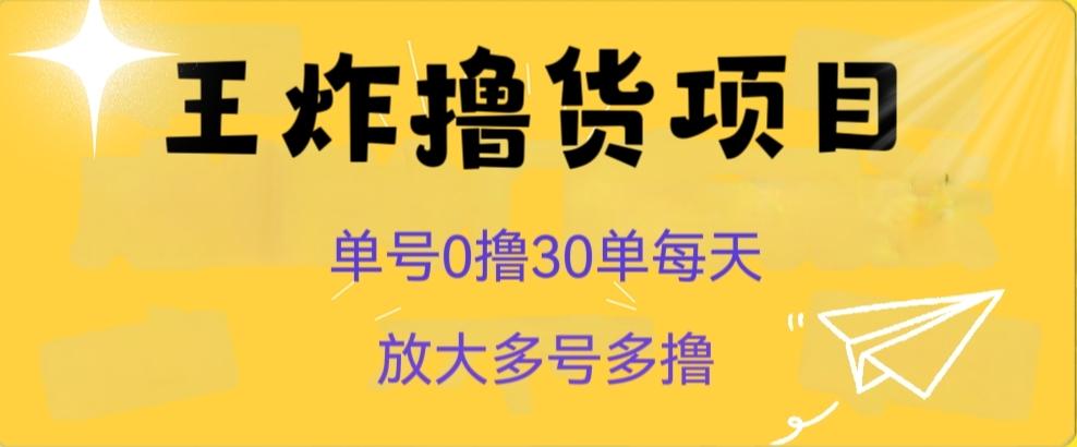 王炸撸货项目，单号0撸30单每天，多号多撸【揭秘】-星火轻创
