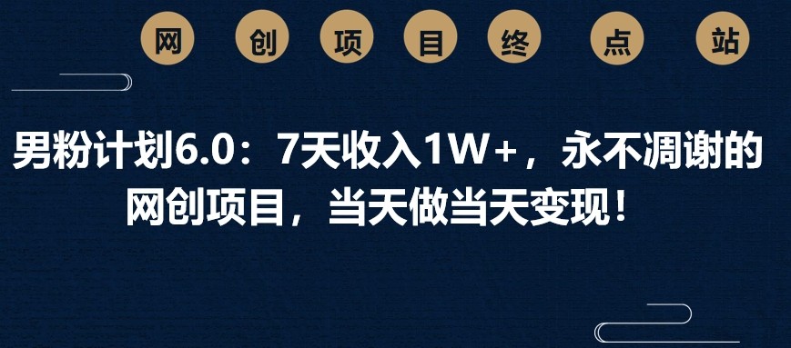 男粉计划6.0：7天收入1W+，永不凋谢的网创项目，当天做当天变现！-星火轻创
