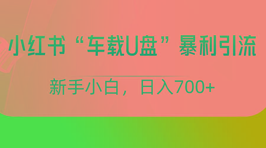 小红书“车载U盘”项目，暴利引流，新手小白轻松日入700+-星火轻创