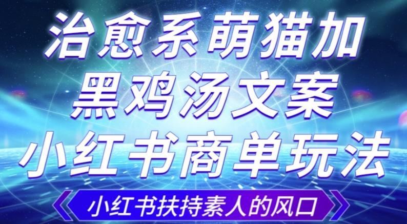 治愈系萌猫加+黑鸡汤文案，小红书商单玩法，3~10天涨到1000粉，一单200左右-星火轻创