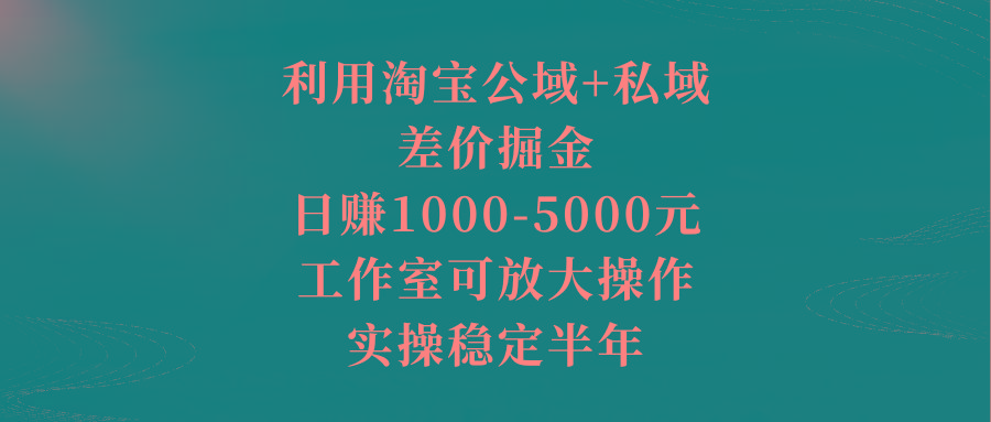 利用淘宝公域+私域差价掘金，日赚1000-5000元，工作室可放大操作，实操…-星火轻创