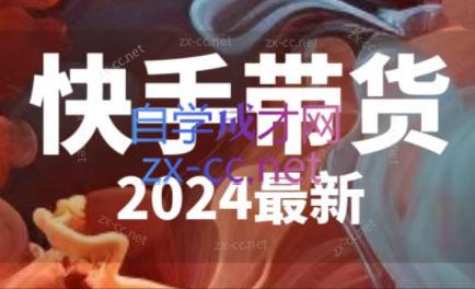 快手带货(2024最新)-星火轻创