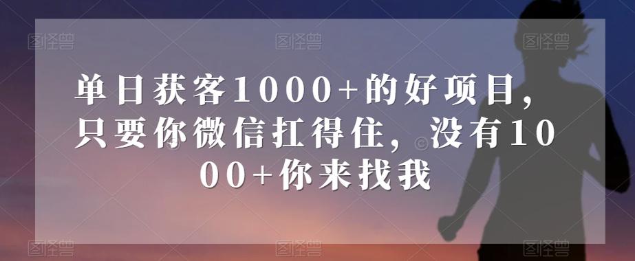 单日获客1000+的好项目，只要你微信扛得住，没有1000+你来找我【揭秘】-星火轻创