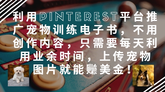 利用Pinterest平台推广宠物训练电子书，不用创作内容，只需要每天利用业余时间，上传宠物图片就能挣美金!-星火轻创