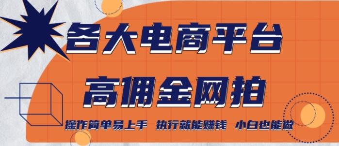 各大电商平台高佣金网拍，操作简单易上手，执行就能赚钱，小白也能做-星火轻创