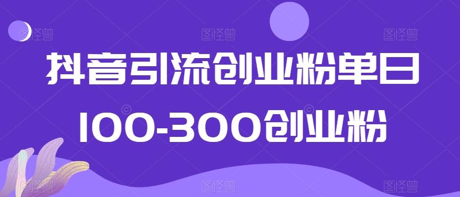 抖音引流创业粉单日100-300创业粉【揭秘】-星火轻创