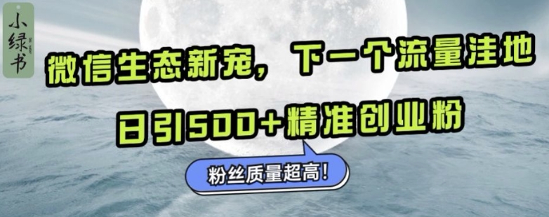 微信生态新宠小绿书：下一个流量洼地，日引500+精准创业粉，粉丝质量超高-星火轻创