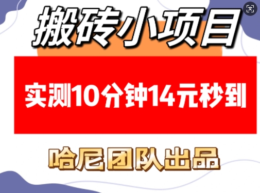 搬砖小项目，实测10分钟14元秒到，每天稳定几张(赠送必看稳定)-星火轻创